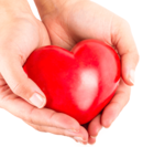 Un coeur dans une main pour le cours bls-aed src le Swiss Resuscitation Council